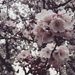 Nice work, #portland. #pdx #portlandnw #portlandor #portlandoregon