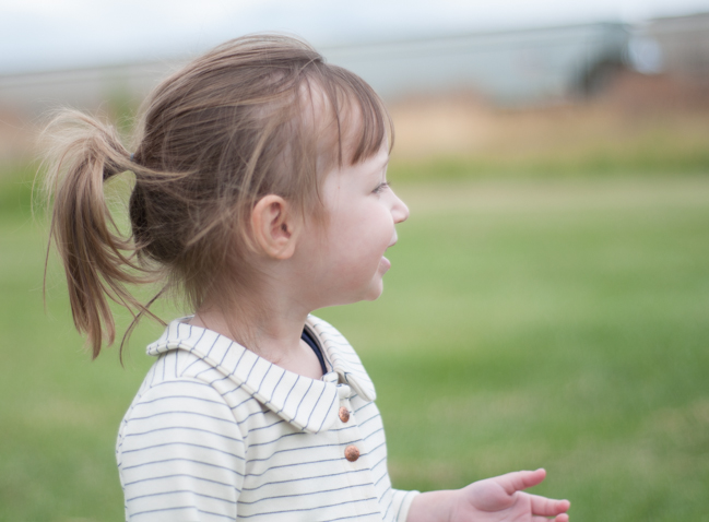 Willow and Co Patterns Aster Cardigan Clover Shorts