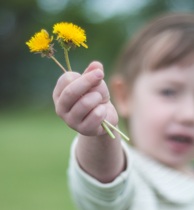 Willow and Co Patterns Aster Cardigan Clover Shorts